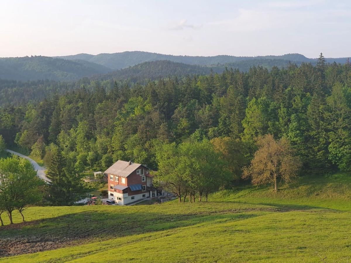 Apartma Narava Appartement Begunje pri Cerknici Buitenkant foto