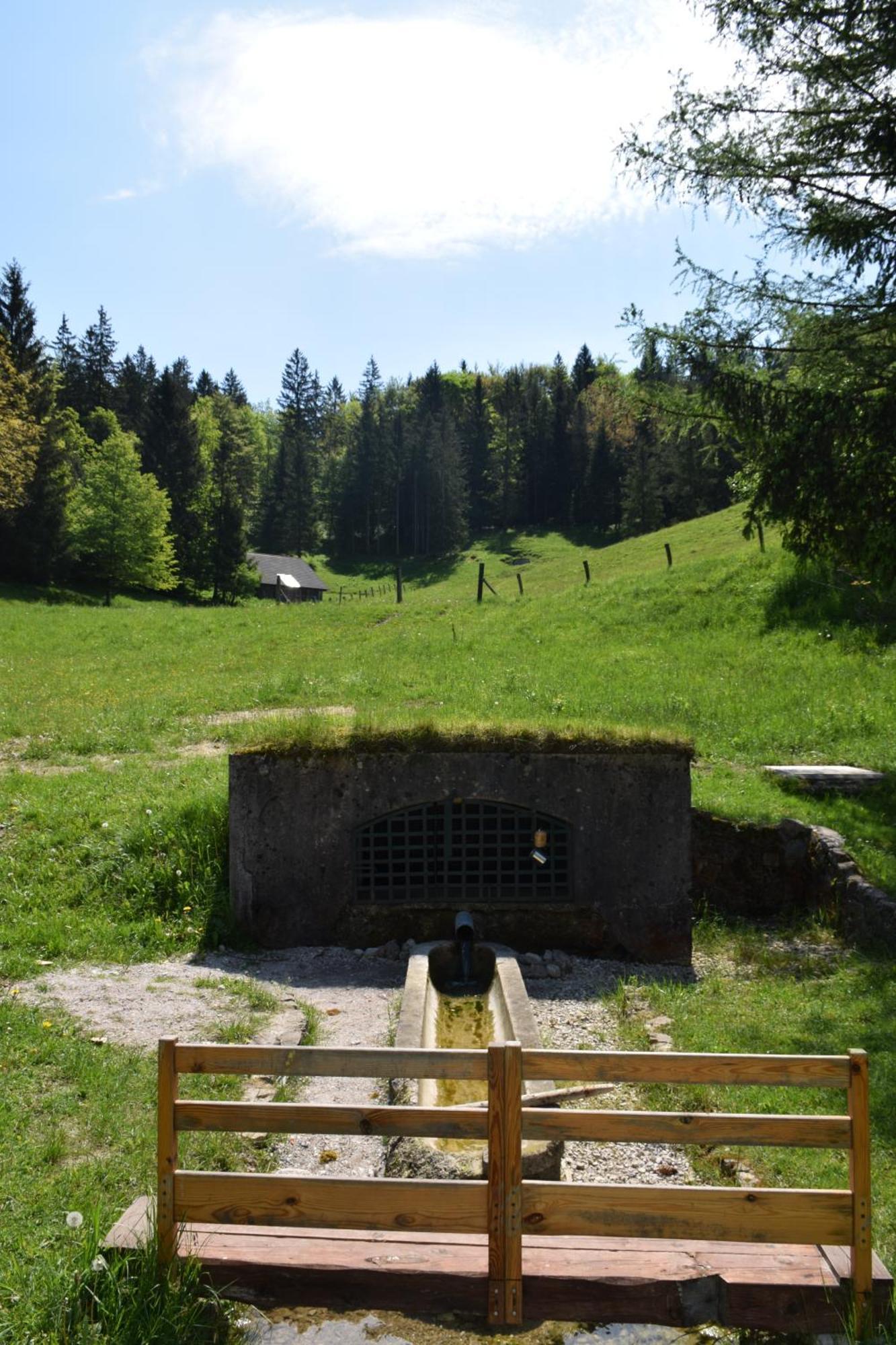 Apartma Narava Begunje pri Cerknici Buitenkant foto